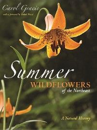 Summer Wildflowers of the Northeast Foto №1