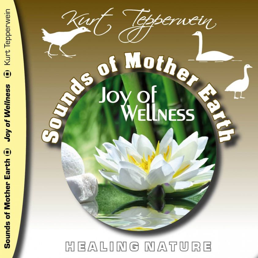 Sounds of Mother Earth - Joy of Wellness photo 2