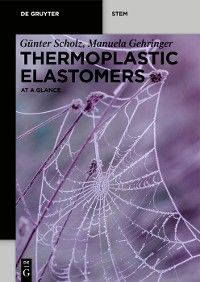 Thermoplastic Elastomers photo №1