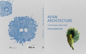 Avian Architecture photo №1