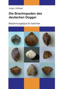 Die Brachiopoden des deutschen Dogger Foto №1