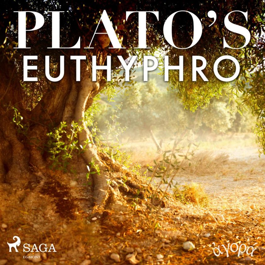 Plato's Euthyphro photo 2