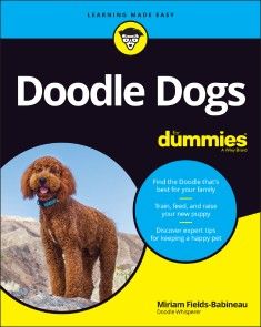 Doodle Dogs For Dummies photo №1