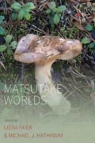 Matsutake Worlds photo №1