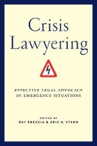 Crisis Lawyering photo №1