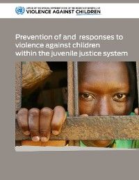 Prevention of and Responses to Violence Against Children Within the Juvenile Justice System photo №1