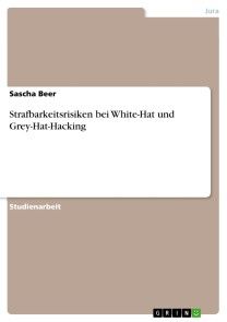 Strafbarkeitsrisiken bei White-Hat und Grey-Hat-Hacking Foto №1