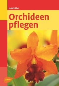 Orchideen pflegen Foto №1
