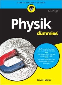 Physik für Dummies Foto №1