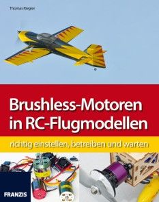 Brushless-Motoren in RC-Flugmodellen Foto №1