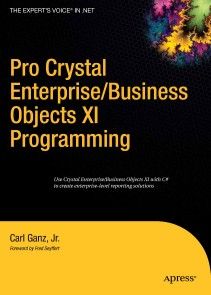 Pro Crystal Enterprise / BusinessObjects XI Programming photo №1