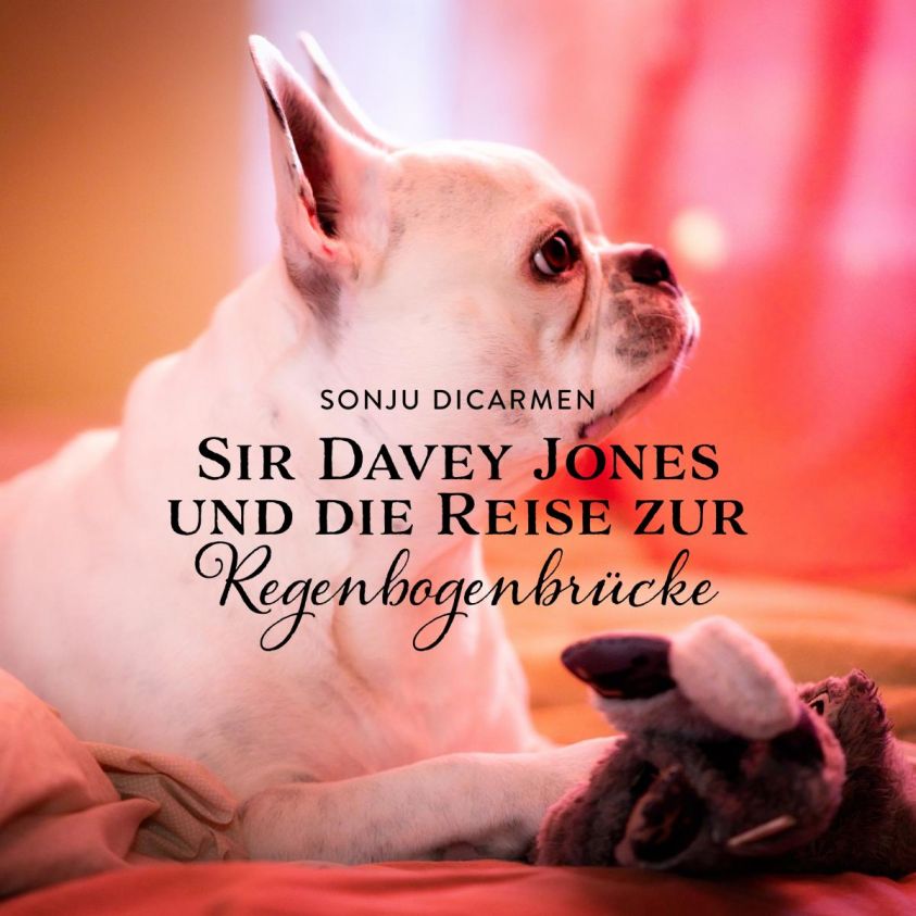 Sir Davey Jones und die Reise zur Regenbogenbrücke Foto 2