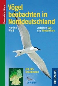 Vögel beobachten in Norddeutschland Foto №1