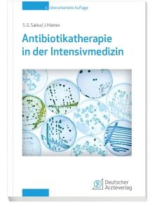 Antibiotikatherapie in der Intensivmedizin Foto №1