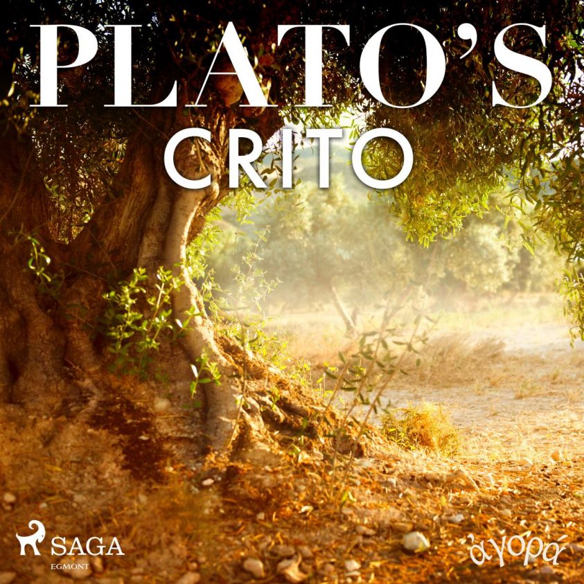 Plato's Crito photo 2