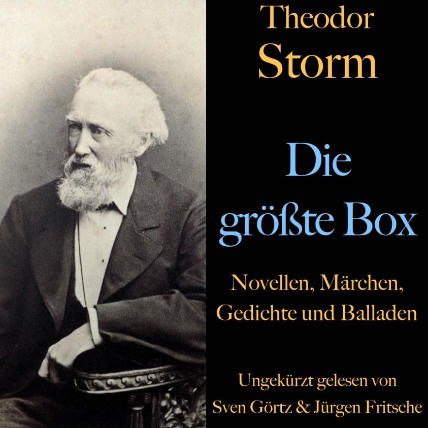 Theodor Storm: Die größte Box Foto №1