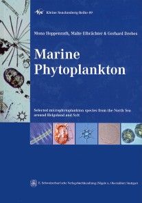 Marine Phytoplankton photo №1