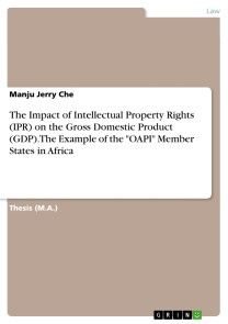 The Impact of Intellectual Property Rights (IPR) on the Gross Domestic Product (GDP). The Example of the 
