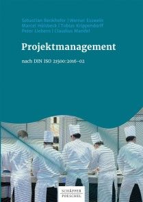 Projektmanagement nach DIN ISO 21500:2016-02 Foto №1