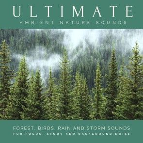 Ultimate Ambient Nature Sounds (XXL Bundle) photo №1