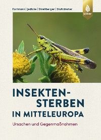 Insektensterben in Mitteleuropa Foto №1