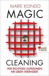 Magic Cleaning Foto №1
