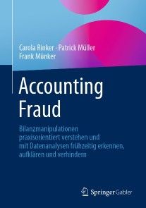 Accounting Fraud Foto №1