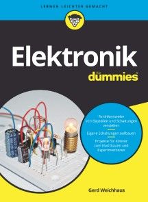 Elektronik für Dummies Foto №1