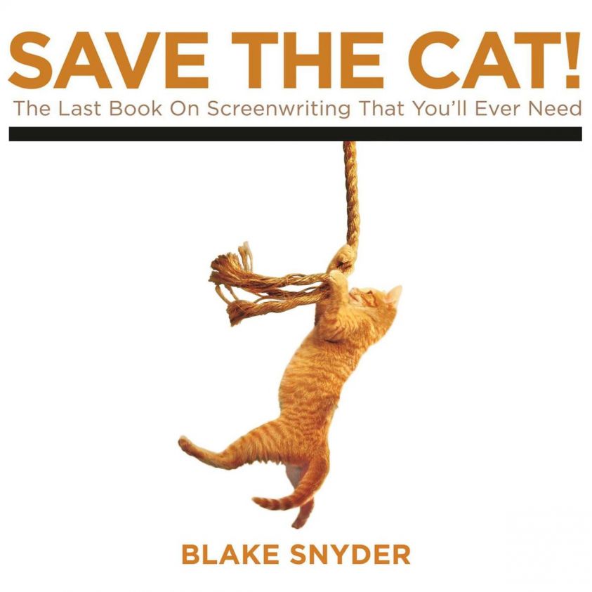Save the Cat! photo 2