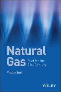 Natural Gas photo №1