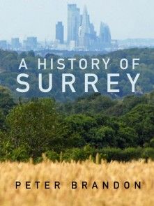 A History of Surrey photo №1