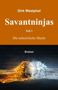 Savantninjas